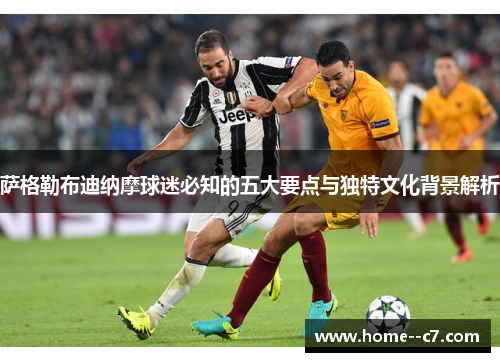 萨格勒布迪纳摩球迷必知的五大要点与独特文化背景解析