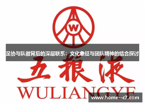 足协与队徽背后的深层联系：文化象征与团队精神的结合探讨