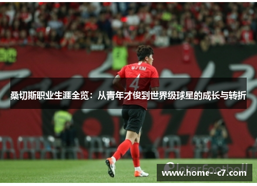 桑切斯职业生涯全览：从青年才俊到世界级球星的成长与转折