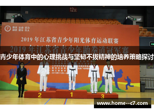 青少年体育中的心理挑战与坚韧不拔精神的培养策略探讨