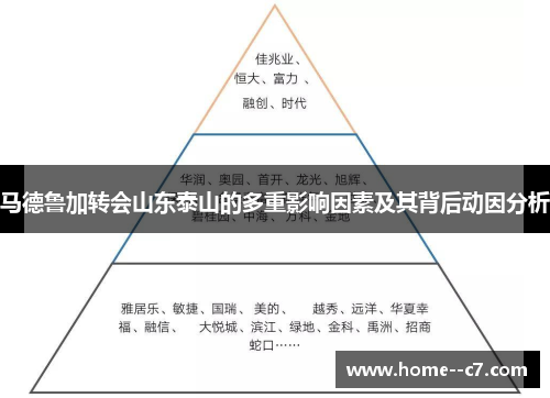 马德鲁加转会山东泰山的多重影响因素及其背后动因分析