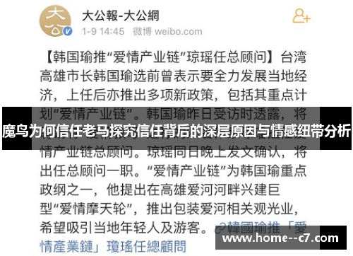 魔鸟为何信任老马探究信任背后的深层原因与情感纽带分析