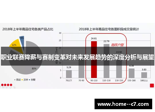 职业联赛降薪与赛制变革对未来发展趋势的深度分析与展望
