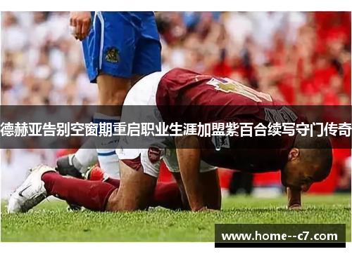 德赫亚告别空窗期重启职业生涯加盟紫百合续写守门传奇