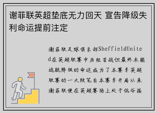 谢菲联英超垫底无力回天 宣告降级失利命运提前注定