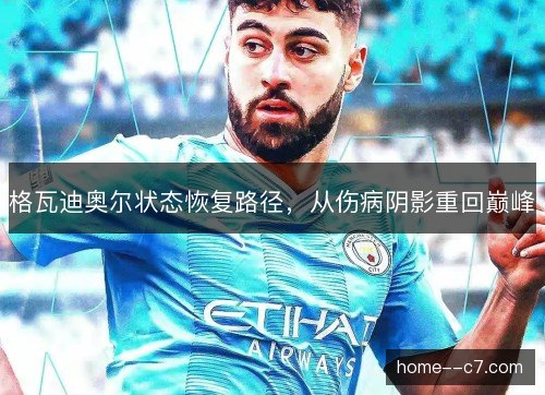 格瓦迪奥尔状态恢复路径，从伤病阴影重回巅峰
